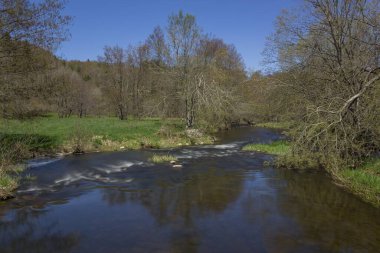 Kayaların ve çimlerin üzerinde güzel bir nehir manzarası.