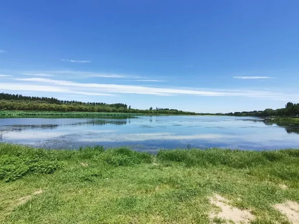 青い空を背景に緑に囲まれた浅い青い湖の風景 — ストック写真