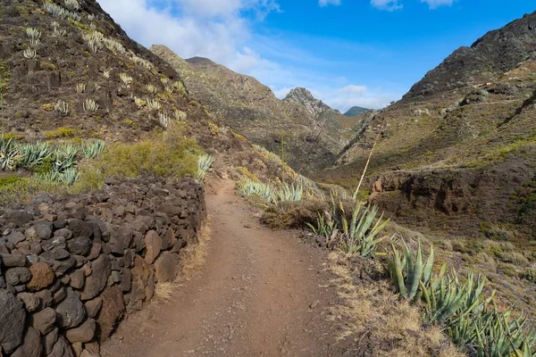 Caminho Para Caminhadas Através Parque Rural Anaga Tenerife Ilhas Canárias — Fotografia de Stock