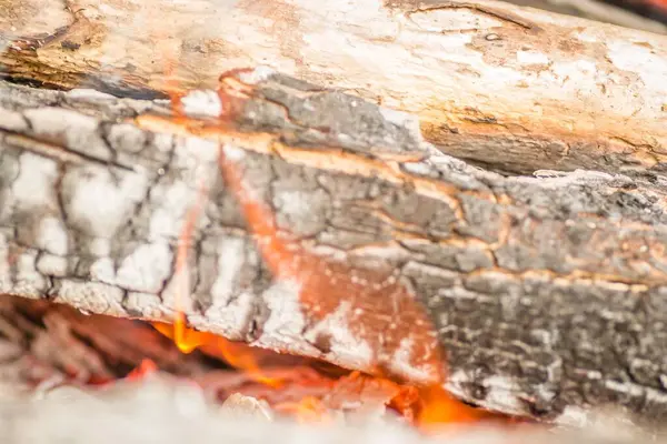 Close Shot Pieces Logs Firewood Charcoal Ashes Burning Flames — Stockfoto
