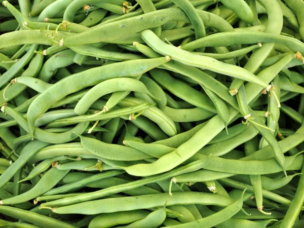 Fresh Organic Green Beans Basket Eugene Saturday Market — Stock Photo, Image