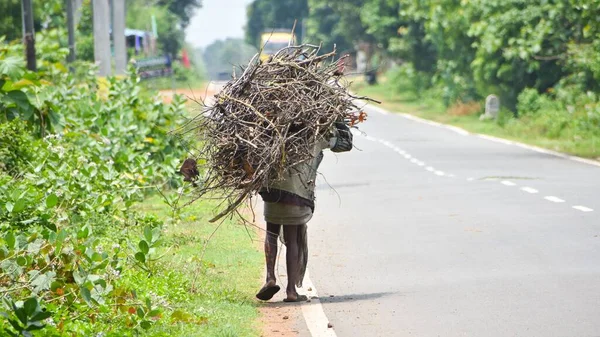 Velho Carrega Enorme Monte Lenha Volta Para Casa — Fotografia de Stock