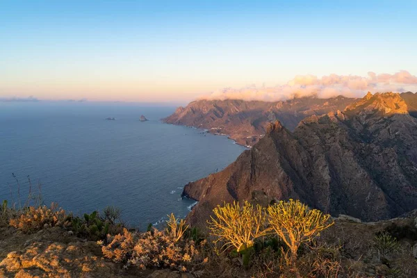 Aerial View Roque Taborno Hike Anaga Rural Park Tenerife Canary — Stock Photo, Image