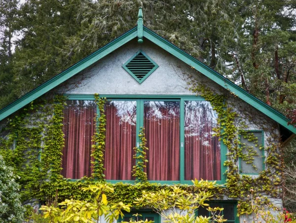 Une Maison Aux Fenêtres Recouvertes Feuilles Avec Des Rideaux Roses — Photo