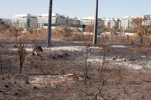 Charred Remains Brush Fire Possibly Arson Karriri Xoco Tuxa Indian — Stock Photo, Image