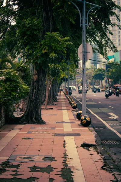Μια Κάθετη Από Πράσινα Δέντρα Ένα Πεζοδρόμιο Κοντά Μια Πολυσύχναστη — Φωτογραφία Αρχείου