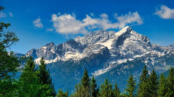 Krajina Vysokých Zasněžených Hor Obklopená Zářivě Zelenými Stromy Během Dne — Stock fotografie
