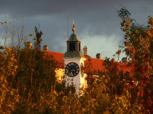 Gamla Klocktornet Petrovaradin Fästning Mellan Trädgrenarna Novi Sad Serbien — Stockfoto