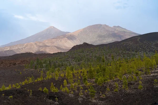 Uitzicht Vanuit Lucht Teide Het Nationale Park Teide Tenerife Canarische — Stockfoto