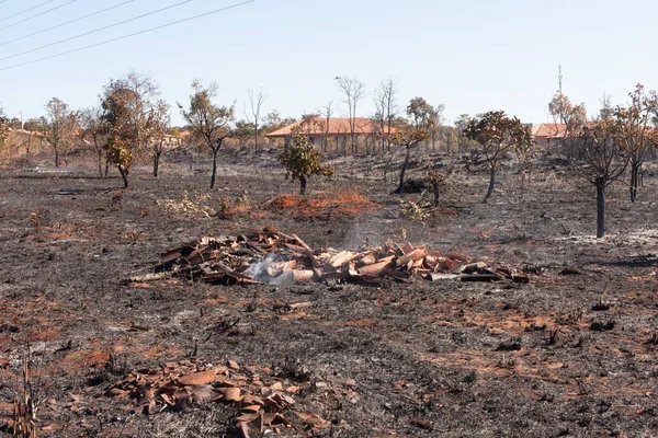 Charred Remains Brush Fire Possibly Arson Karriri Xoco Tuxa Indian — Stock Photo, Image