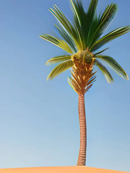 Schilderij Van Een Palm Boom Zonsondergang — Stockfoto