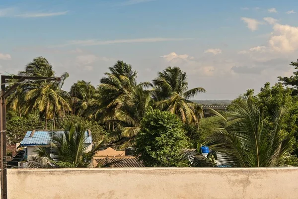 Tropický Výhled Balkónu Palem Pod Modrou Oblohou — Stock fotografie