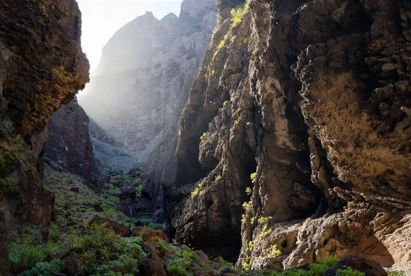 Una Vista Aérea Del Sendero Del Desfiladero Masca Tenerife Islas — Foto de Stock