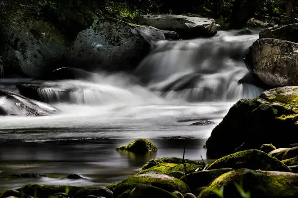 Uma Vista Panorâmica Rio Fluindo Uma Floresta Cercada Por Natureza — Fotografia de Stock