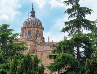 İspanya, Salamanca 'nın görkemli 16. yüzyıl Gotik katedrali