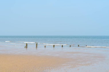 Güneşli bir günde kumlu bir sahil manzarası.