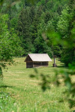 Çayırın ortasında ağaçlarla çevrili küçük bir ahşap kulübenin dikey görüntüsü.