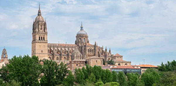 Majestic Sixteenth Century Gothic Cathedral Salamanca Spain — Stock Photo, Image