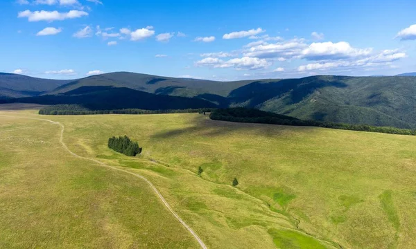 Alpská Pastvina Karpatských Horách Shora Léto Divoká — Stock fotografie