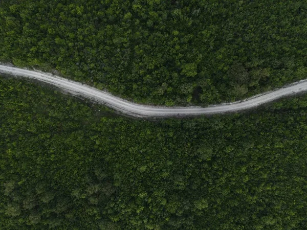 Vue Aérienne Une Route Étroite Milieu Forêt — Photo