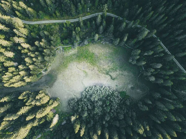 Vue Aérienne Une Forêt Épinettes — Photo