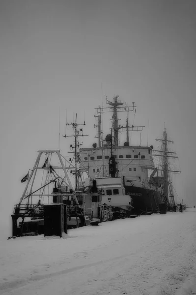 Tiro Escala Cinza Navio Enorme — Fotografia de Stock