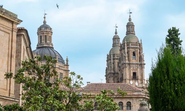 Majestosa Catedral Gótica Século Xvi Salamanca Espanha — Fotografia de Stock