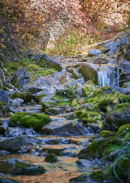 Eine Vertikale Aufnahme Eines Flussbaches Der Auf Bemoosten Felsen Einem — Stockfoto