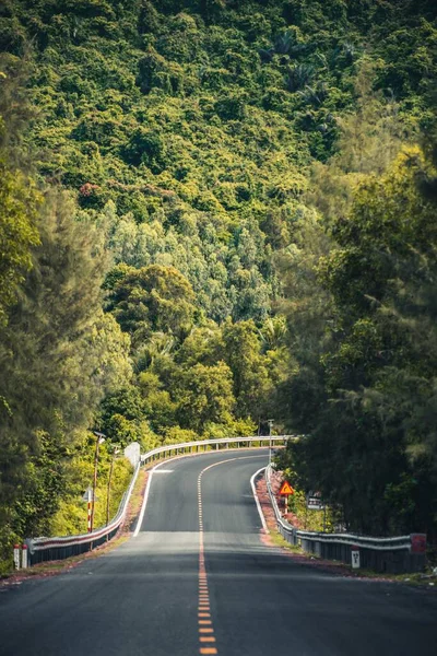 Colpo Verticale Una Strada Sinuosa Vuota Piedi Una Collina Boscosa — Foto Stock