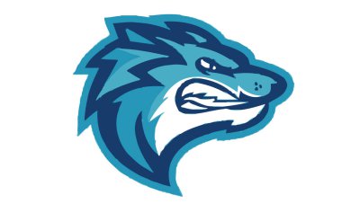 Bir kurdun vektör çizimi