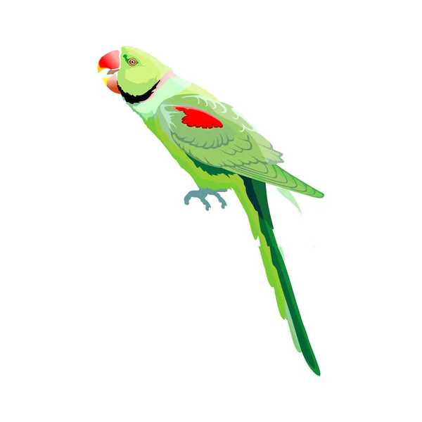 Návrh Loga Růžového Papouška Psittacula Krameri Izolovaného Bílém Pozadí — Stockový vektor