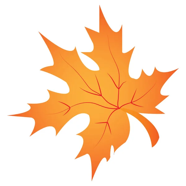 Een Oranje Herfstblad Vector Ontwerp Voor Logo Template — Stockvector
