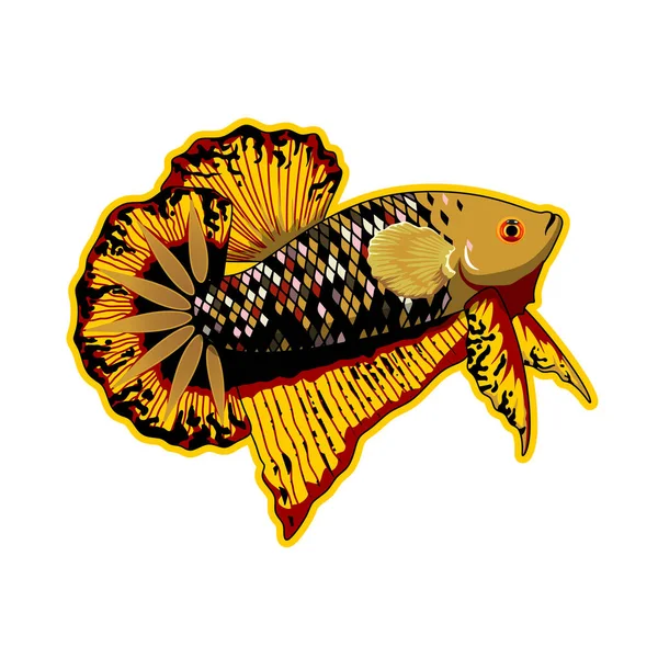 Ein Editierbarer Goldener Schwarzer Stern Betta Fish Auf Weißem Hintergrund — Stockvektor
