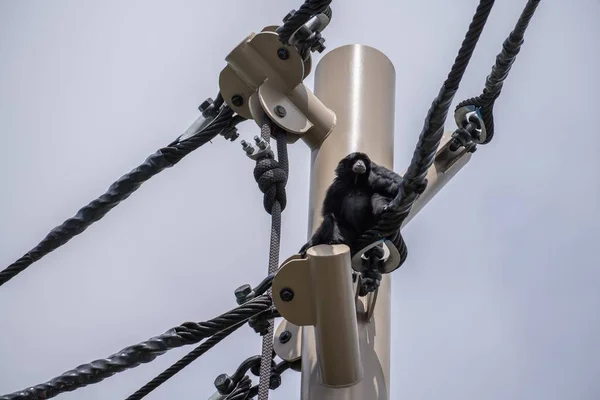 A closeup of snatch blocks on a white metallic post