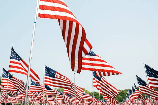 Las Banderas Americanas Día Sin Nubes — Foto de Stock
