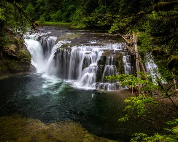 Landscape View Lower Lewis River Falls Gifford Pinchot National Forest — Stock Photo, Image