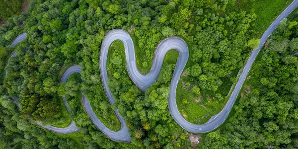 Una Foto Aerea Una Strada Attraverso Foreste Abeti Rossi — Foto Stock