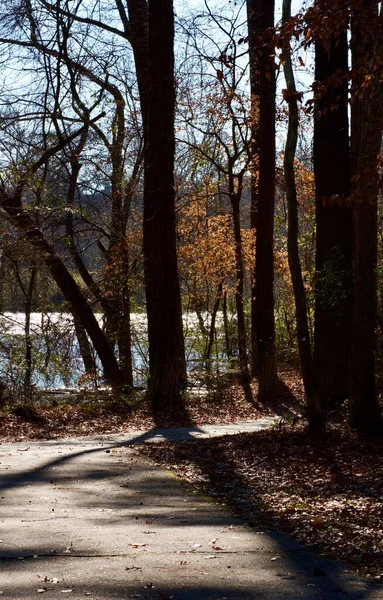 Sonbahar Ağaçlarının Gölgeleriyle Göle Uzanan Dar Bir Yürüyüş Yolu — Stok fotoğraf