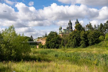 Tumski Adası 'ndaki Piotr ve Pawel katedralinin yanındaki yeşil ağaçlı bir arazi.