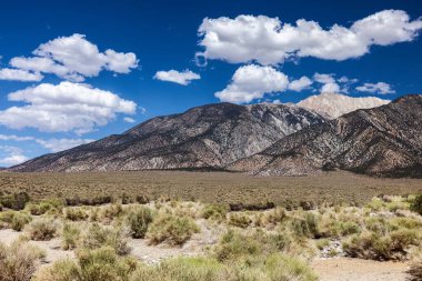 Bishop, California, ABD 'den Beyaz Dağlar manzaralı bir manzara