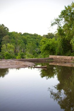 Etrafı yemyeşil ağaçlarla çevrili sığ göletin dikey görüntüsü.