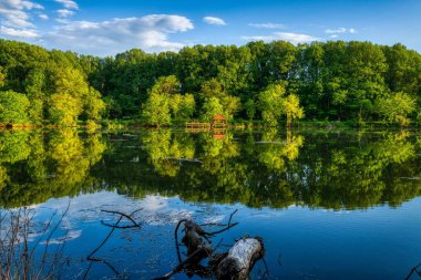 Huzurlu bir göl manzarası sahili üzerinde ahşap bir oyuk ve yeşilliği yansıtıyor.