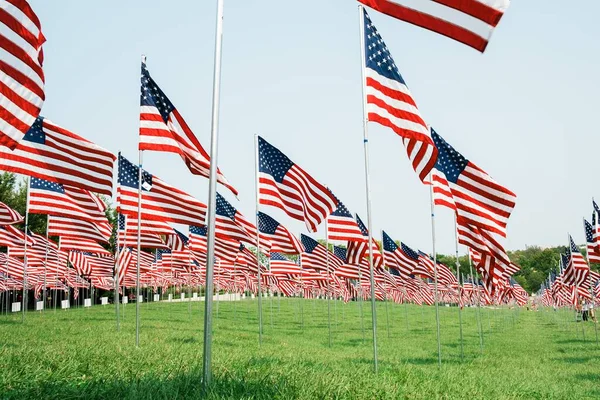 Las Banderas Americanas Campo Día Sin Nubes — Foto de Stock