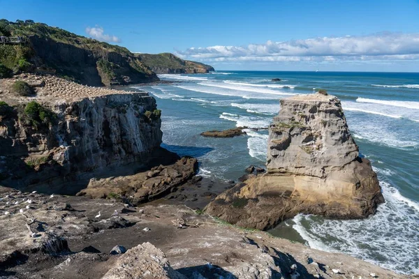 Una Hermosa Vista Playa Muriwai Día Soleado Nueva Zelanda — Foto de Stock