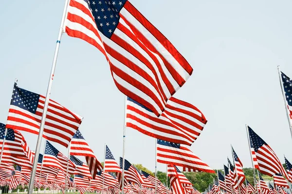 Las Banderas Americanas Día Sin Nubes — Foto de Stock