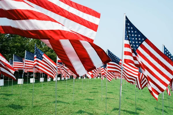 Las Banderas Americanas Campo Día Sin Nubes — Foto de Stock