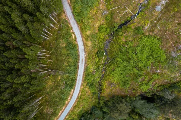 Una Foto Aerea Una Strada Tra Boschi Prati — Foto Stock