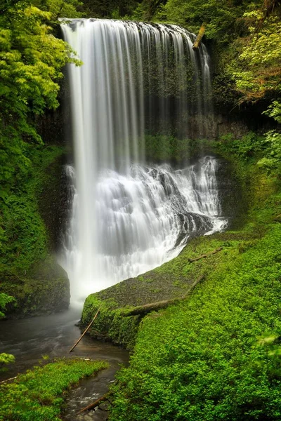 Eine Vertikale Aufnahme Der Middle North Falls Silver Falls State — Stockfoto