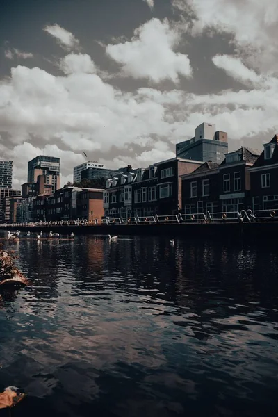 Pionowe Łabędzie Pływające Rzece Wzdłuż Budynków Amsterdamie Holandia Pochmurny Dzień — Zdjęcie stockowe