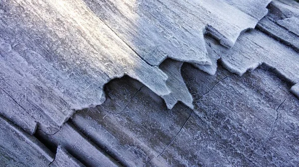 凍結し 壊れた木のクローズアップショット — ストック写真